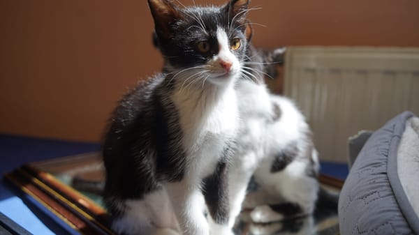 Ares