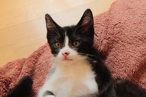 Astro