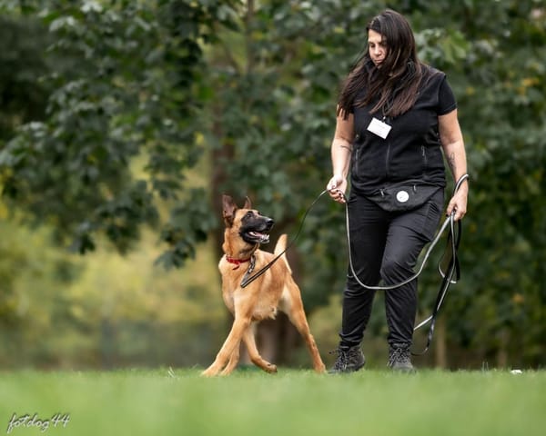 Ambra
