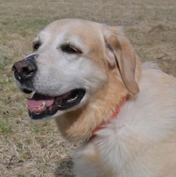 MAX 🍀🍀🍀 Senior sucht Altersruhesitz