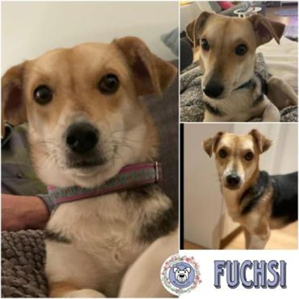 FUCHSI *  zartes und sanftes Mädchen