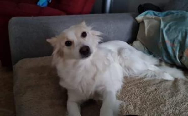 Bonnie möchte Einzelprinzessin sein