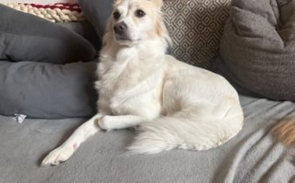Bonnie möchte Einzelprinzessin sein