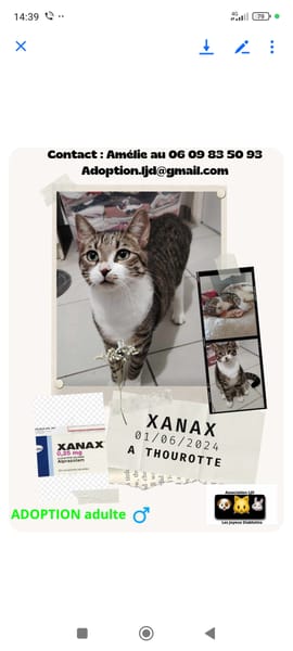 Xanax
