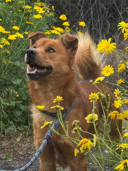 VINNIE (Maria)