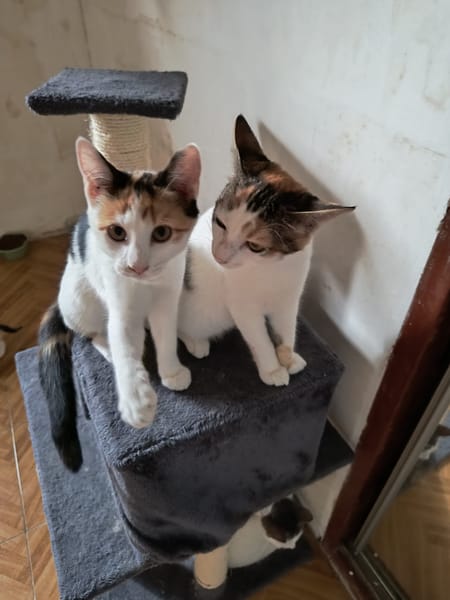 Heidi & Juliette