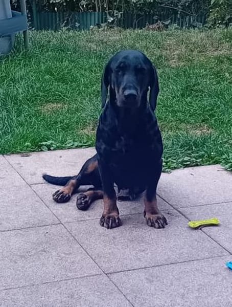 💕Wilma💕 sucht ihre Menschen