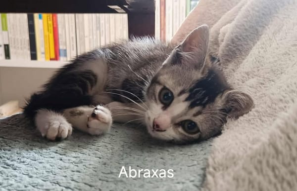 ABRAXAS