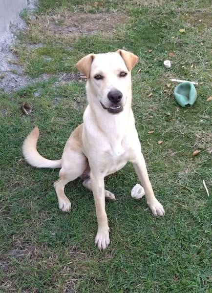 BUDY, le magnifique !