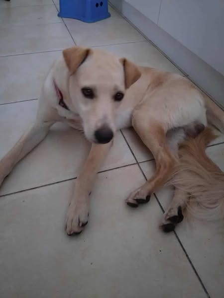 BUDY, le magnifique !