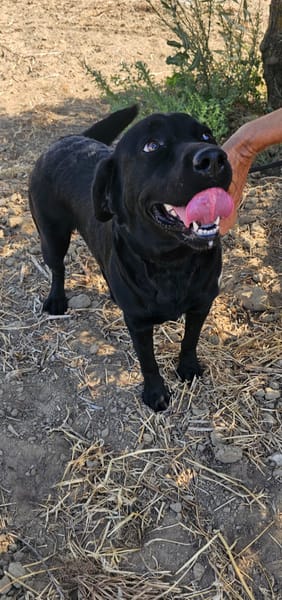 Chloe