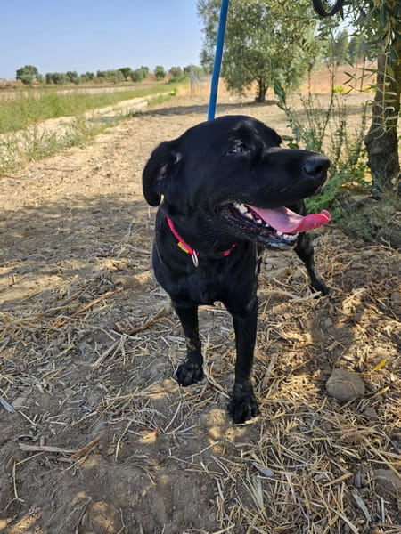 Chloe