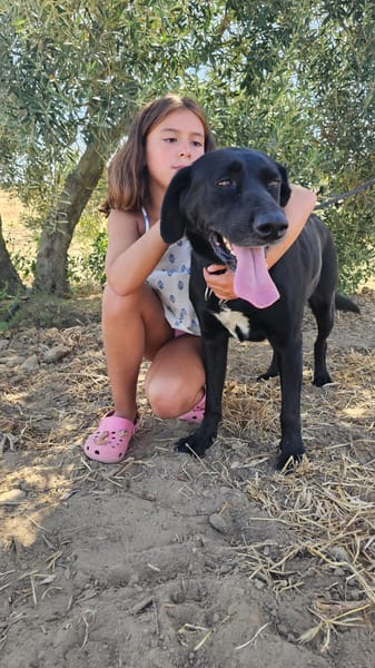 Niña