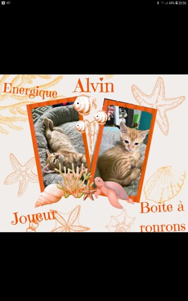 Alvin