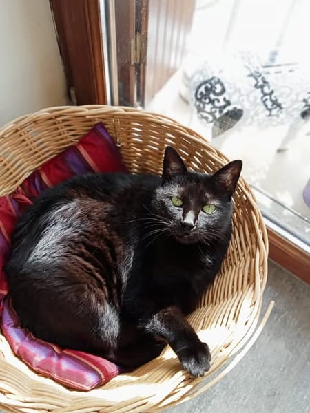LOLITA