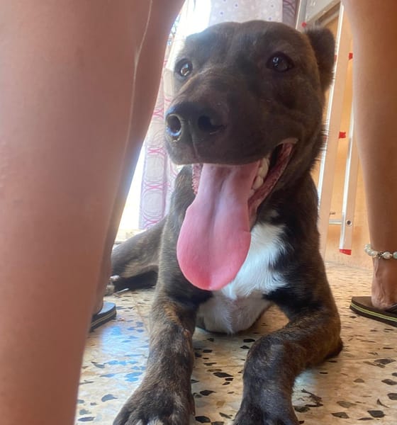 MÍA