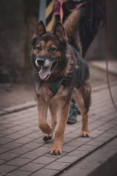 Czyli
