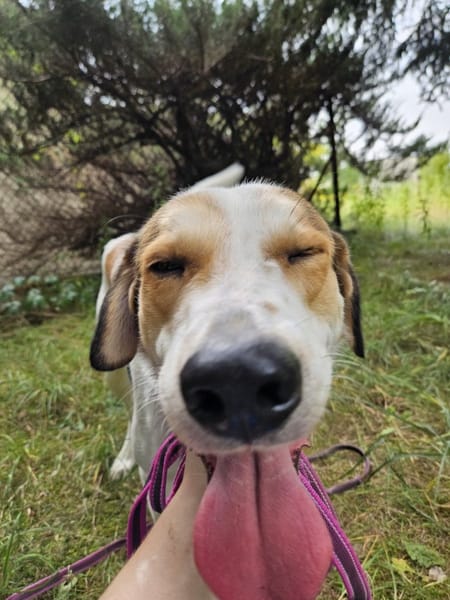 Tobi