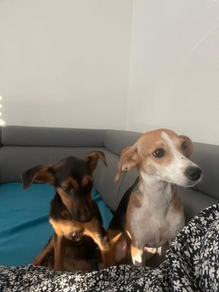 Katie ist in Deutschland