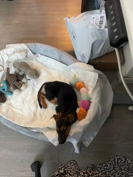Katie ist in Deutschland