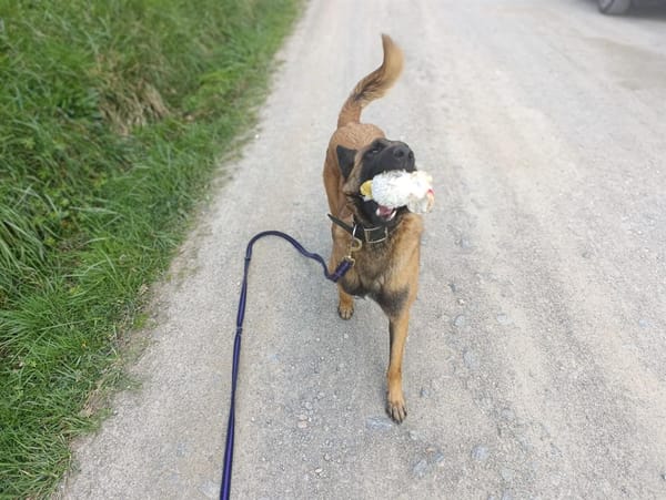 Sam