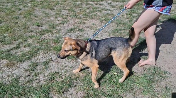 Tula