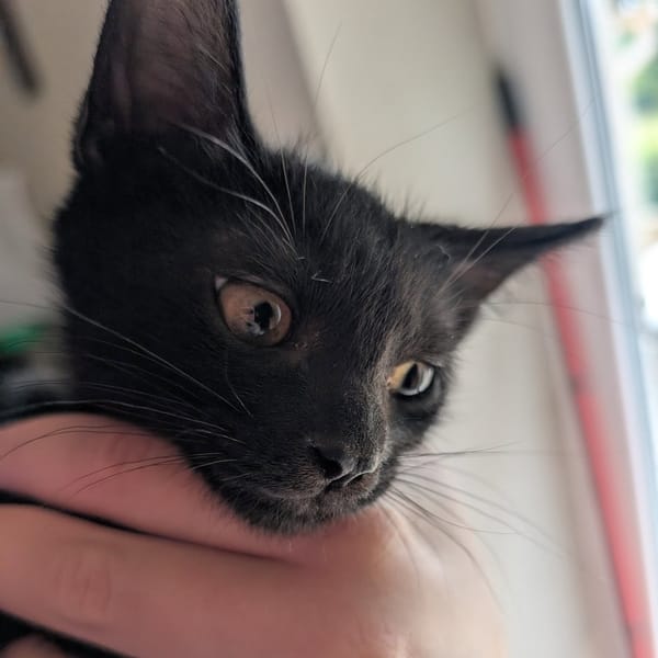 ONYX