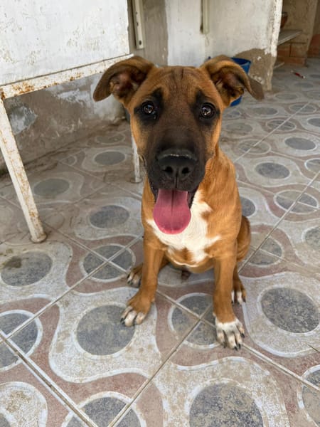 BUBA (Martina)