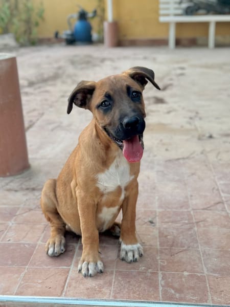 BUBA (Martina)