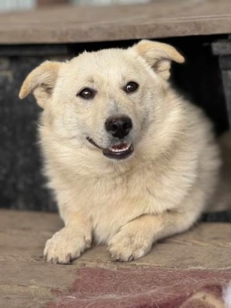 Filu, der kleine Eisbär 🐾