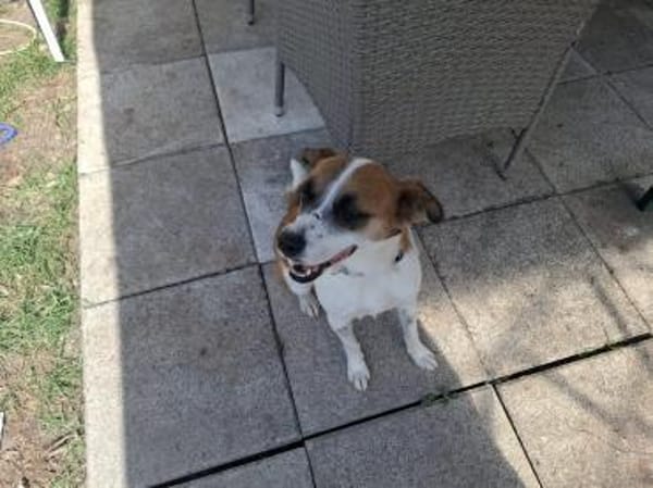 Wunderschöne Kiki sucht Familie 😍
