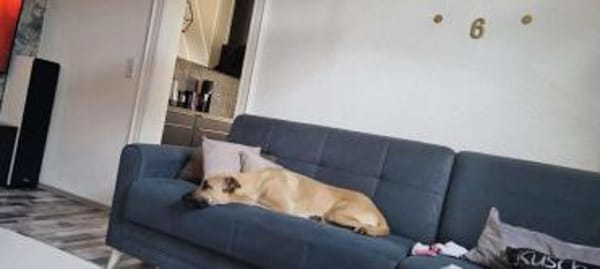 Lea ist eine Schönheit 🐾
