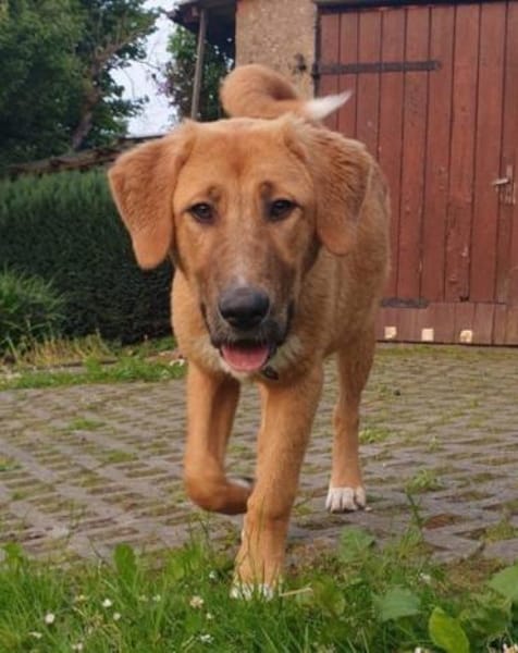 HSH-Mix-Lady♥Suvi♥63911 Klingenberg/Main
