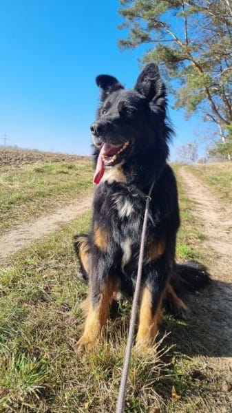 Benny