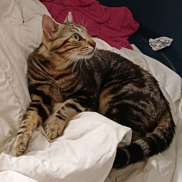 Filou