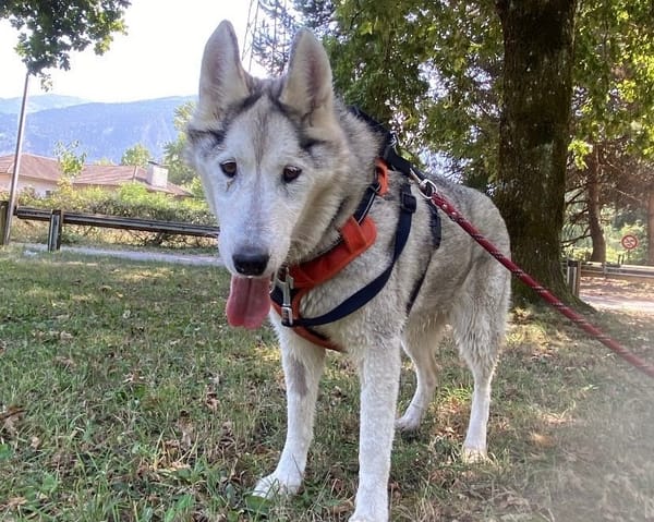 JILKA