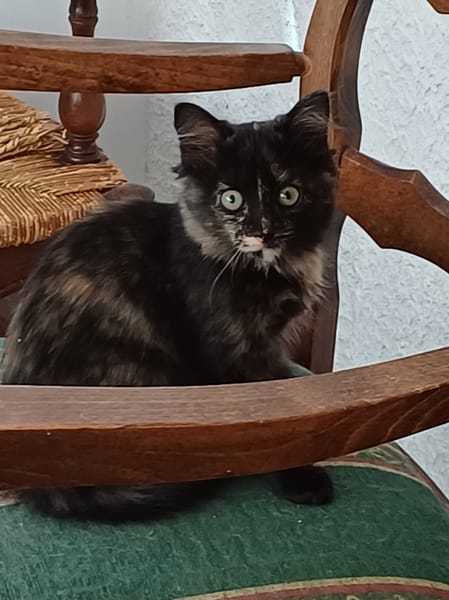 Anaïs