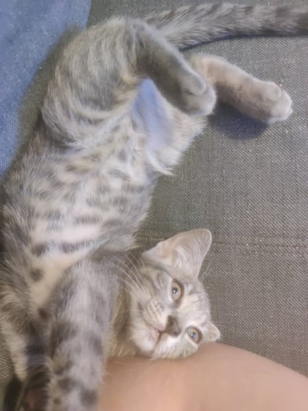 Anya