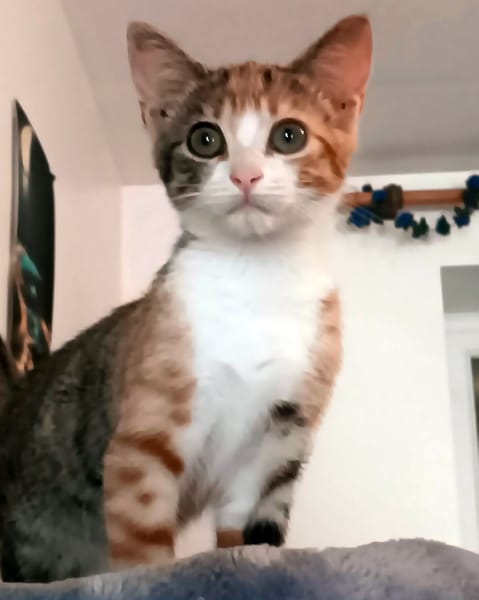 LUNA