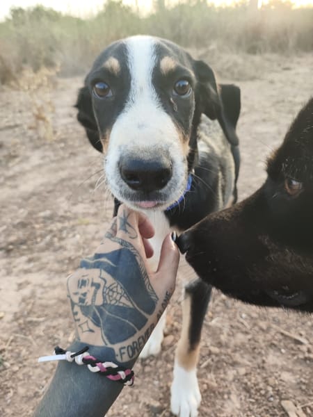 CARLOS (Maria)