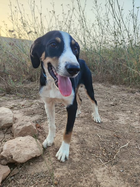 CARLOS (Maria)