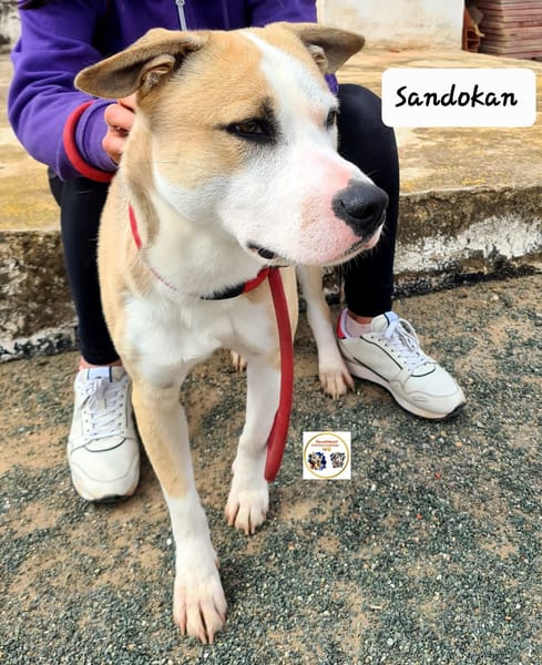 SANDOKAN (Maria)