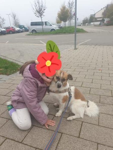 wunderschöne kline Rosi im Mammendorf