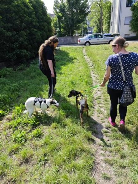 Maia; sucht Ruhe und Sicherheit