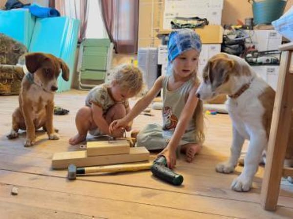 Welpe Archi sucht festes Zuhause
