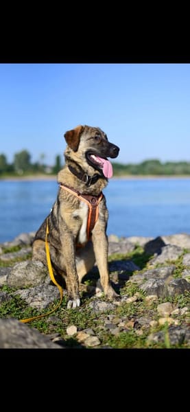 Die liebe 💕Raija 💕sucht ihre Menschen