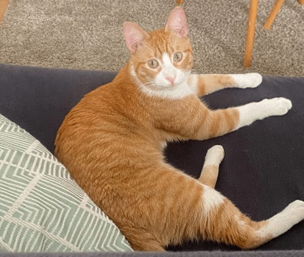 PAB27662 Sunny