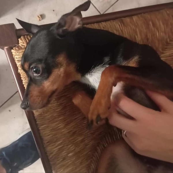 MIA