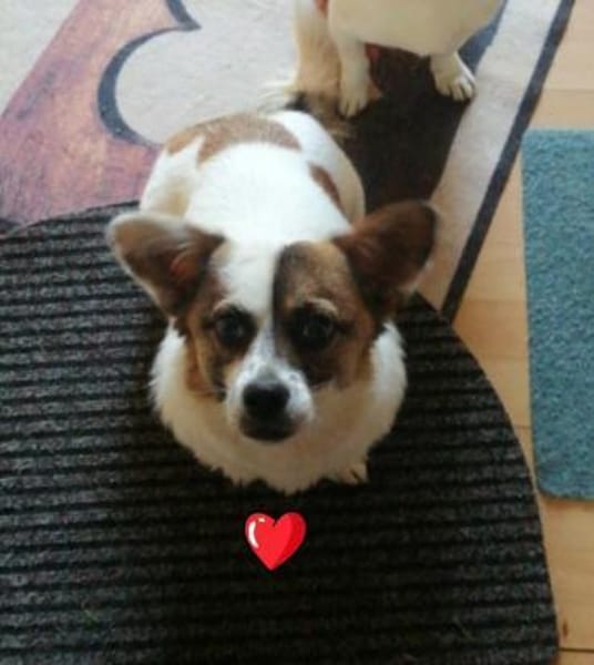 SUZY auf der Suche nach ihrem Glücksort
