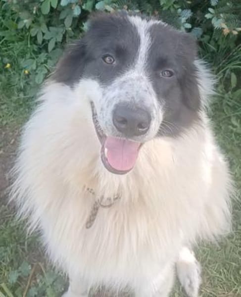 TERRY💛wünscht sich geduldige Menschen